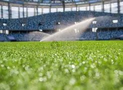 电子,产品,PG电子,PG,PG平台,PG官网,PG模拟器在线试玩