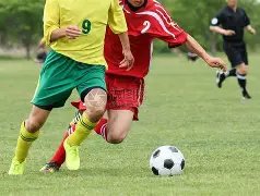 电子,产品,PG电子,PG,PG平台,PG官网,PG模拟器在线试玩