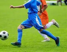 电子,产品,PG电子,PG,PG平台,PG官网,PG模拟器在线试玩